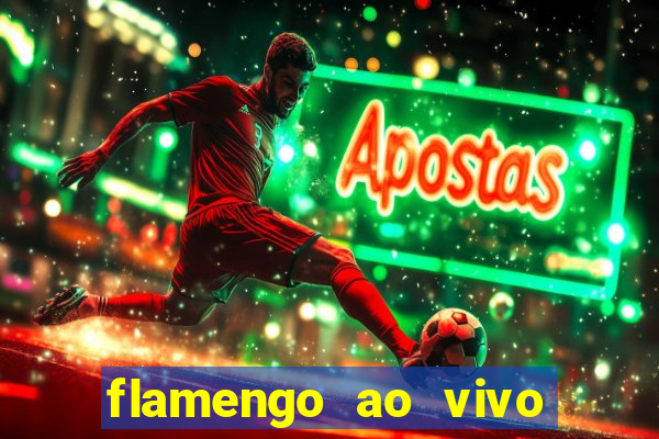 flamengo ao vivo hd play